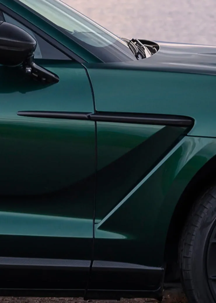 Lame Avant & Bas de Caisse